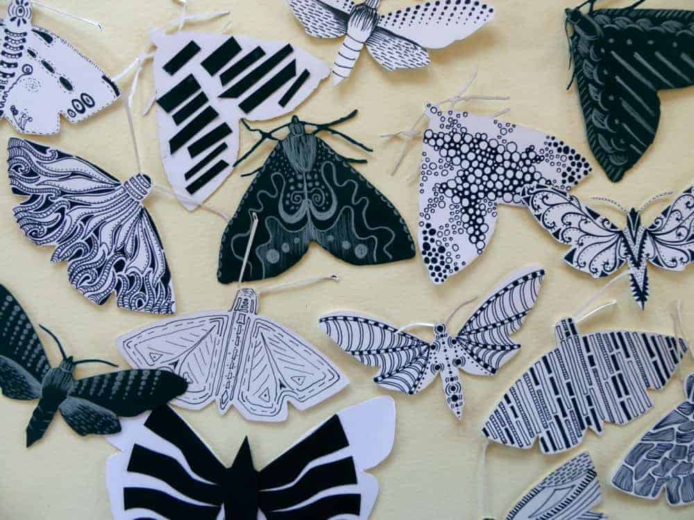 Hilary Lorenz Moth Migration Project at Denver Botanic Garden